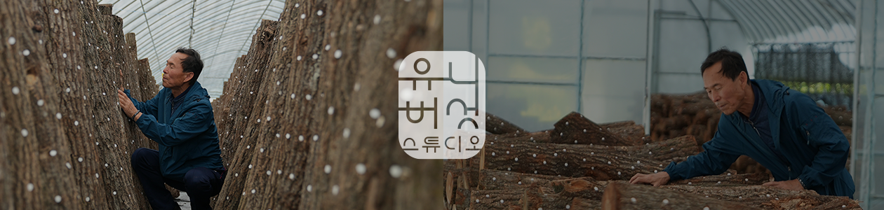 회사 이미지